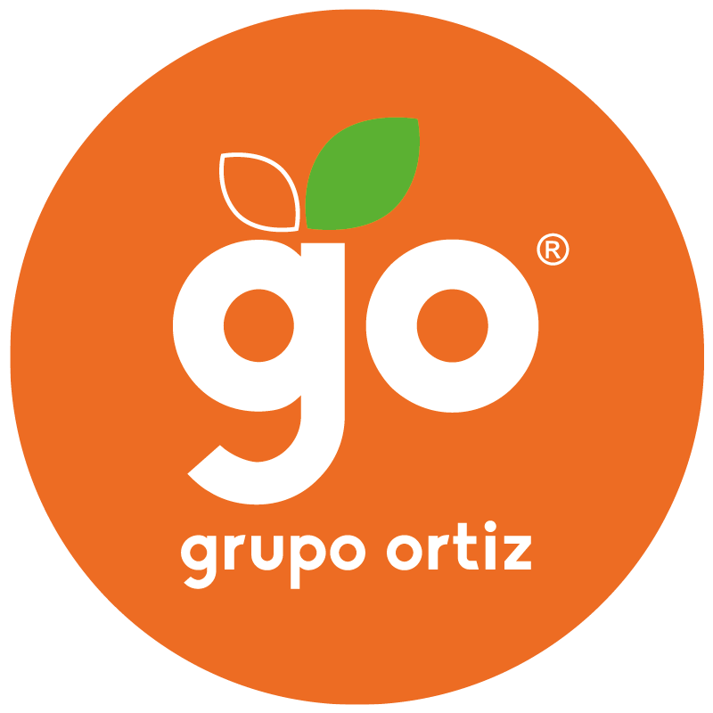 Grupo Ortiz